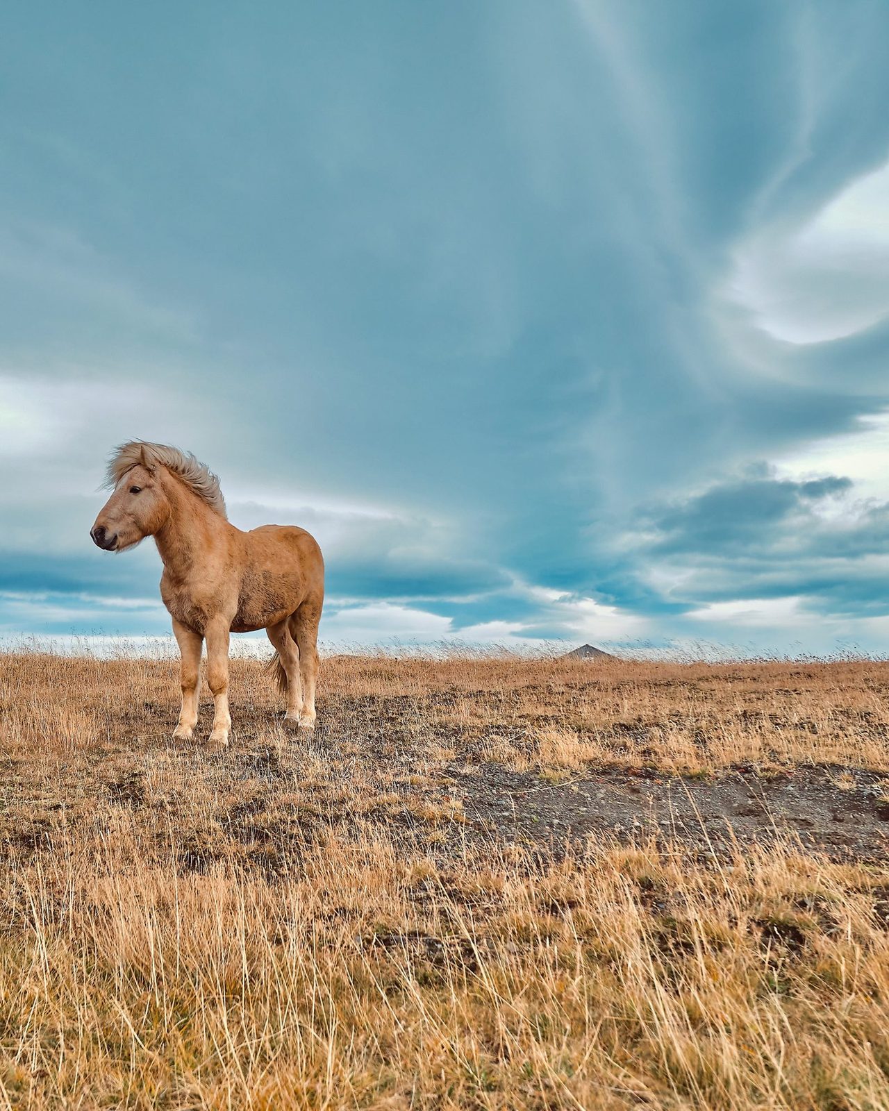 Iceland – travel photography by Amr El Hadeka, image 3 of 6