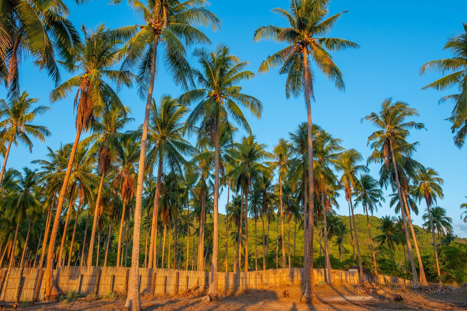 Philippines – travel photography by Amr El Hadeka, image 10 of 13